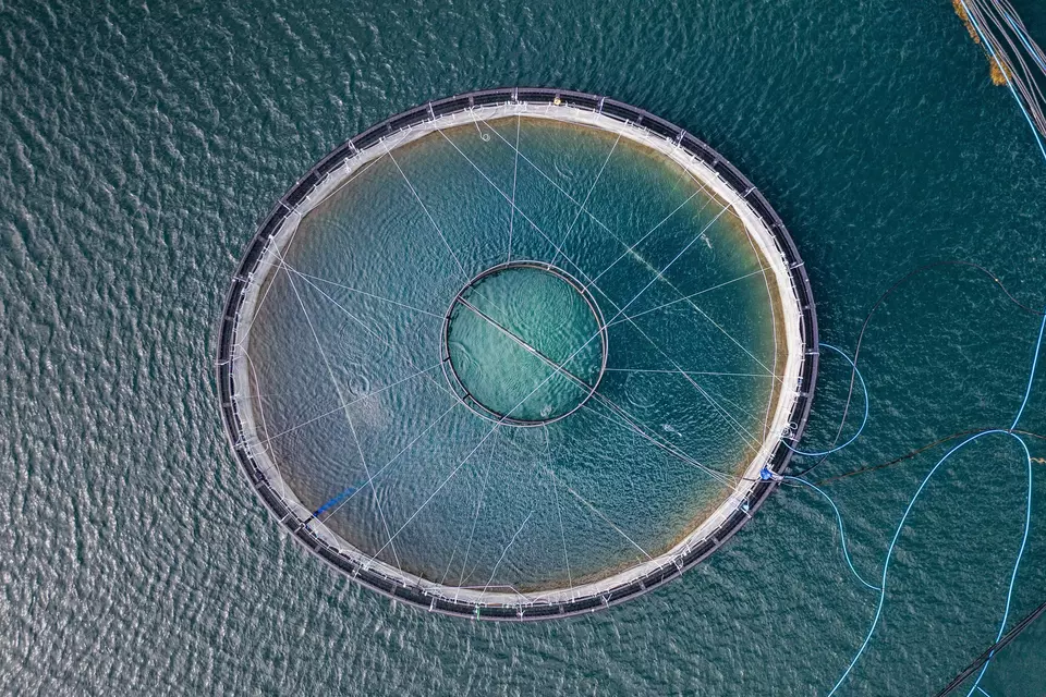 eFishery sebagai bisnis yang berkelanjutan, terakomodasi dalam kemitraan eFishery dengan HSBC.