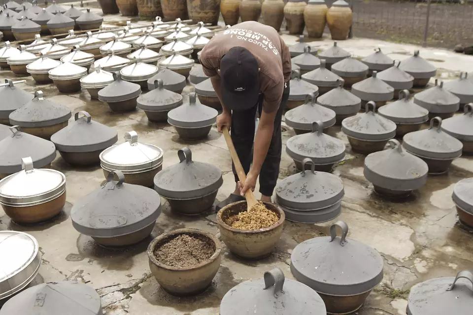 Pekerja memeriksa kedelai yang difermentasi untuk bahan baku pembuatan tauco di Cugenang, Cianjur, Jawa Barat, Rabu (21/2/2024). Gabungan Produsen Makanan dan Minuman (Gapmmi) memproyeksikan kenaikan industri makanan dan minuman 2024 mencapai tujuh persen yang didorong oleh pertumbuhan kelas menengah sebanyak 53 juta jiwa. (ANTARA FOTO/Henry Purba/rai/rwa)