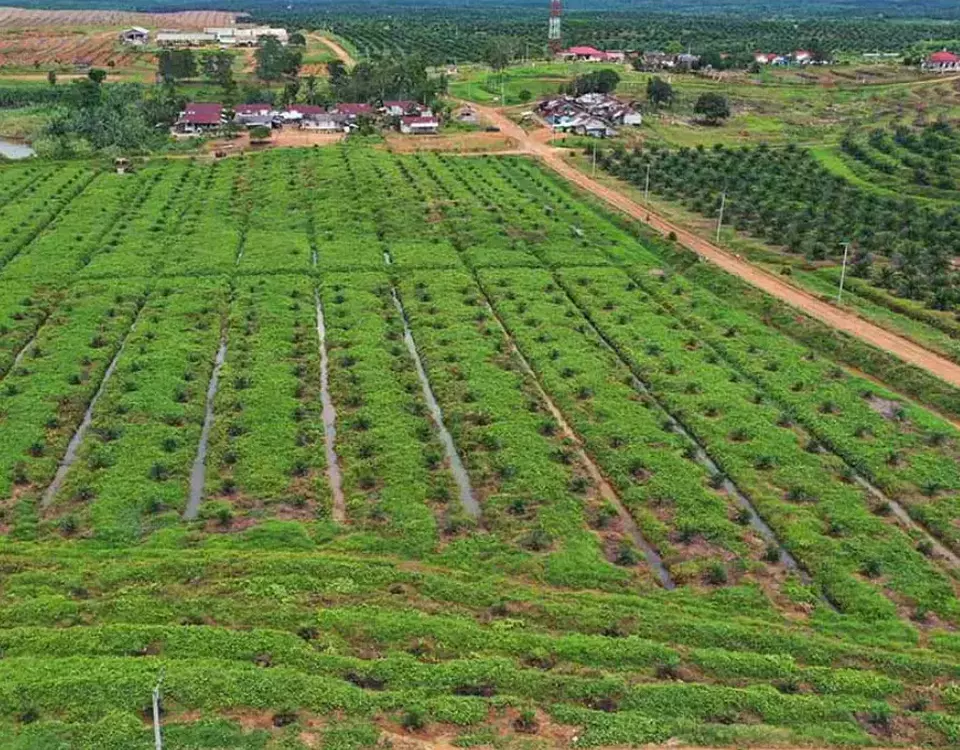 Garapan Cahaya Bumi Rezeki (CABR). Perseroan