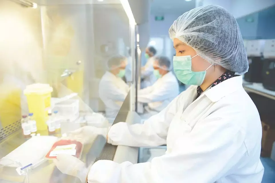 Kegiatan di laboratorium penyimpanan sel punca