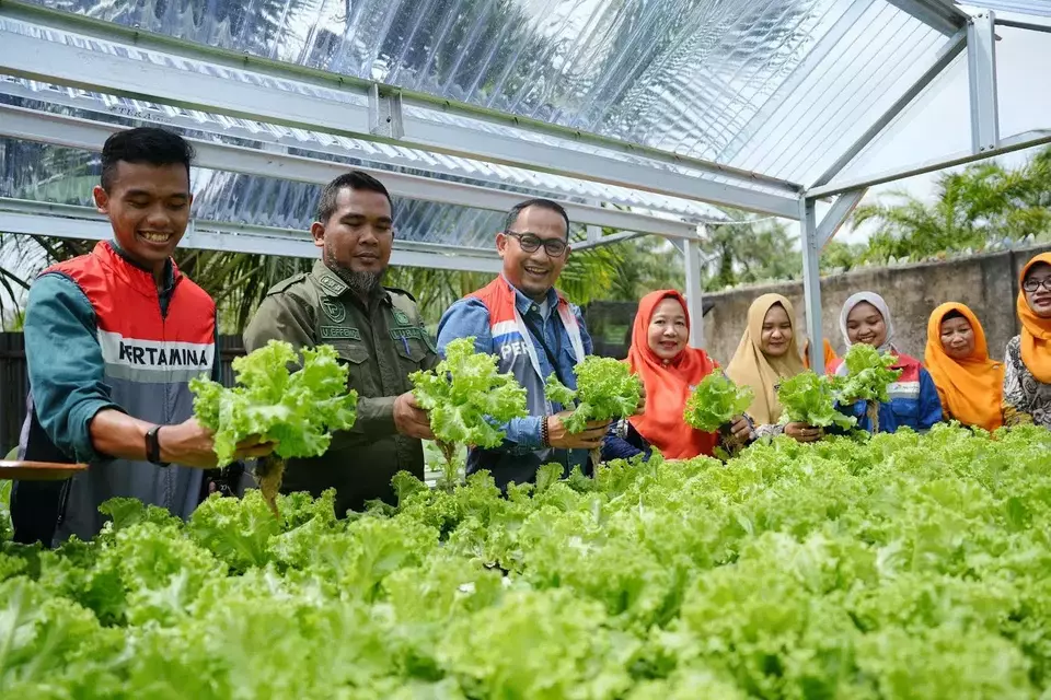 Kelompok Sehati berhasil membudidayakan selada dan sawi melalui media tanam hidroponik.