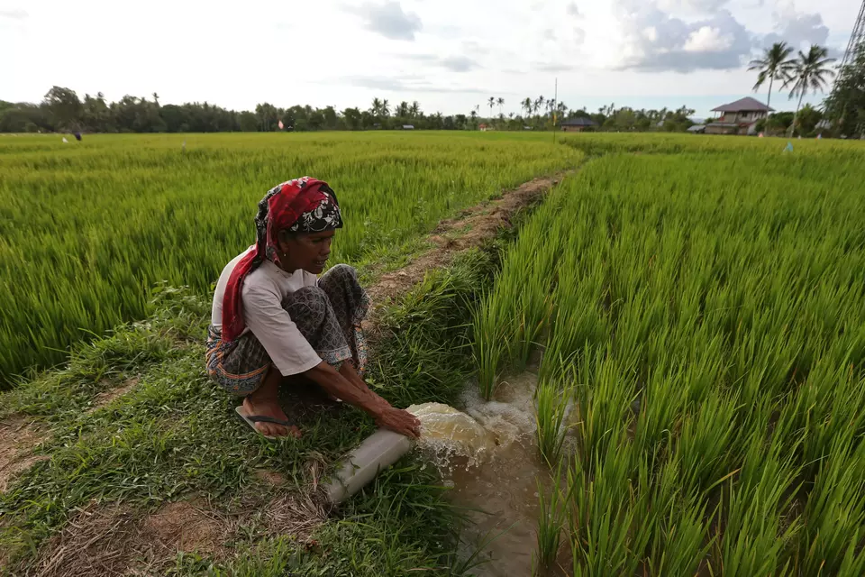 Seorang petani mengawasi pendistribusian air menggunakan mesin pompa untuk lahan sawah tadah hujan di Desa Keureuweung, kecamatan Cot Glie, Aceh Besar, Aceh, baru-baru ini. (ANTARA FOTO/Ampelsa/nym)
