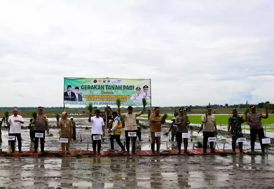 Gerakan Tanam Padi Bersama Menteri Imigrasi dan Pemasyarakatan Agus Andrianto serta Wakil Menteri Pertanian Sudaryono di Desa Kentong, Cepu, Blora, Jawa Tengah, pada 9 Desember 2024. Kegiatan itu dihadiri para petani mitra dalam Farmer Engagement Program (FEP) dari PT Wilmar Padi Indonesia (WPI). (Foto : Istimewa)