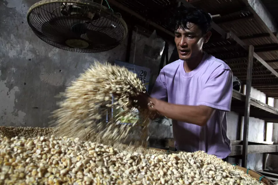 Foto ilustrasi. Pekerja mencampur ragi dengan kedelai saat proses pembuatan tempe di sentra industri tempe Sanan, Malang, Jawa Timur, belum lama ini. Kedelai jadi salah satu komoditas yang diimpor Indonesia dari Amerika Sertikat (AS). (ANTARA FOTO/Ari Bowo Sucipto)