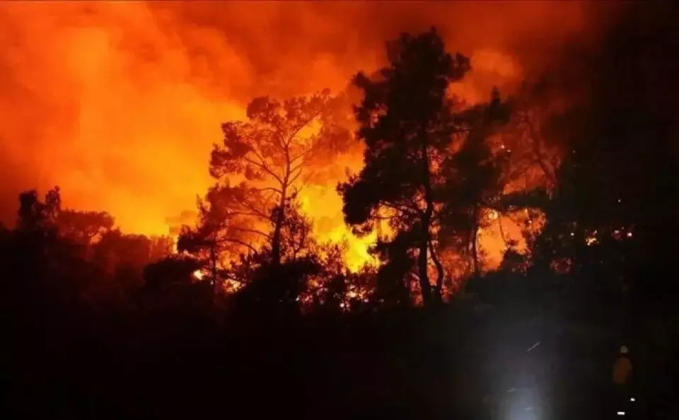 Ilustrasi kebakaran hutan dan lahan (karhutla). (Foto: ANTARA/Anadolu/as/am)
