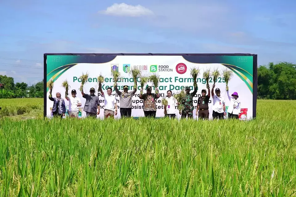 Food Station bersama pelaku usaha, BUMD, koperasi, dan gapoktan melakukan panen padi bersama di persawahan Desa Mekikis Kecamatan Purwosari Kabupaten Kediri, Jawa Timur, Rabu (23/4/2025).