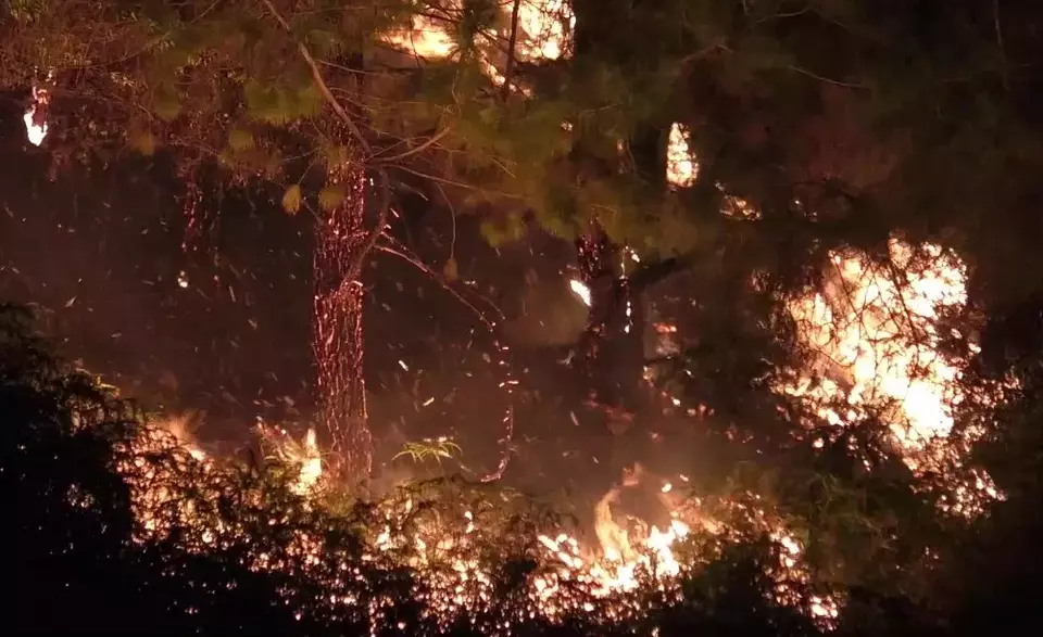Musim kemarau yang berkepanjangan telah membawa bencana bagi kawasan hutan lindung di kawasan Danau Toba, Kabupaten Toba. Kebakaran hutan terjadi di kawasan perbukitan sejuta pohon, Kecamatan Tampahan, pada Sabtu (7/6/2025) sekitar pukul 17:30 WIB. (Foto: Ist)