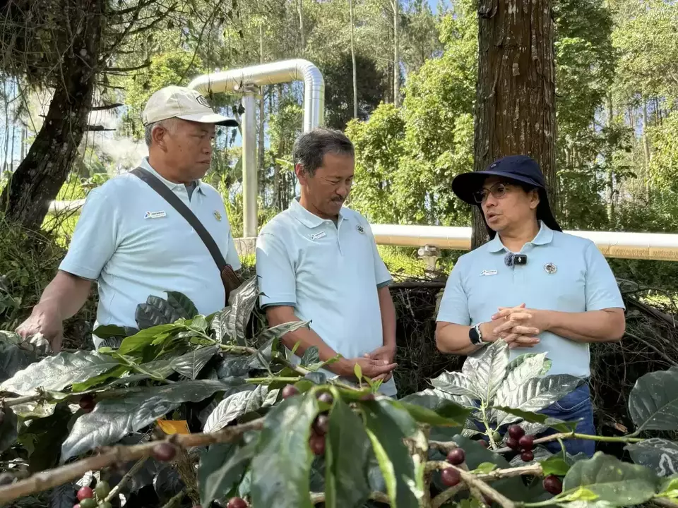 Pertamina Geothermal Energy Tbk (PGEO) atau PGE bersama para petani kopi Kamojang mengadakan ‘Panen Bersama dan Ekspor Perdana Kopi Geotermal Kamojang’. Ist