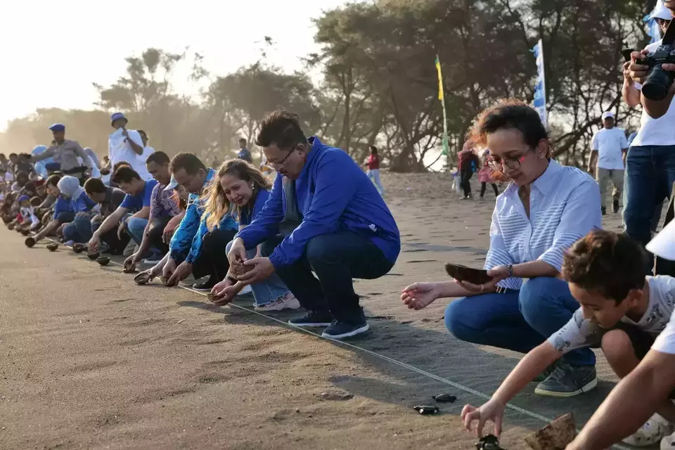 PT Bank Central Asia Tbk (BBCA) atau BCA yang meresmikan Rumah Edukasi Penyu dan melepas ratusan tukik di Pantai Goa Cemara, Kabupaten Bantul, Daerah Istimewa Yogyakarta, pada 1 Agustus 2025.
Sumber; Ist