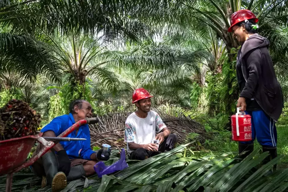 Industri sawit. (ist)