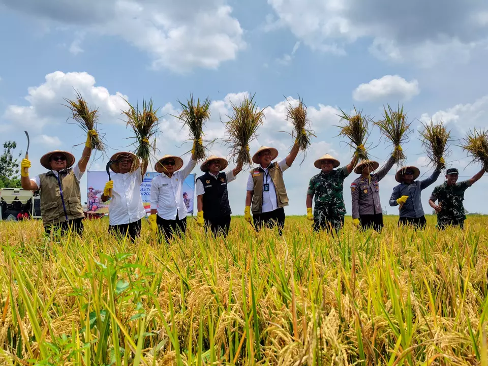 Dirut Bulog Ahmad Rizal Ramdhani melaksanakan panen perdana di Desa Baderan, Kecamatan Geneng, Kabupaten Ngawi. (Foto: Muhammad Miftakul Falakh)