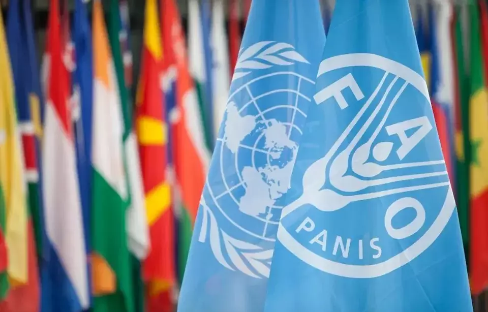 Organisasi Pangan dan Pertanian PBB (FAO). (Foto: FAO.org)