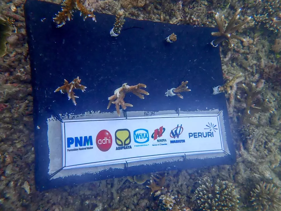 7 BUMN berkolaborasi gelar blue impact di Lampung Selatan.