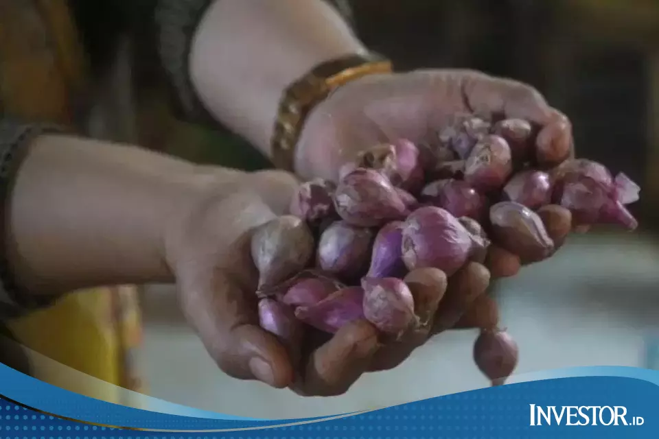 Bawang Merah Di Kebumen Tembus Rp 70000 Per Kg