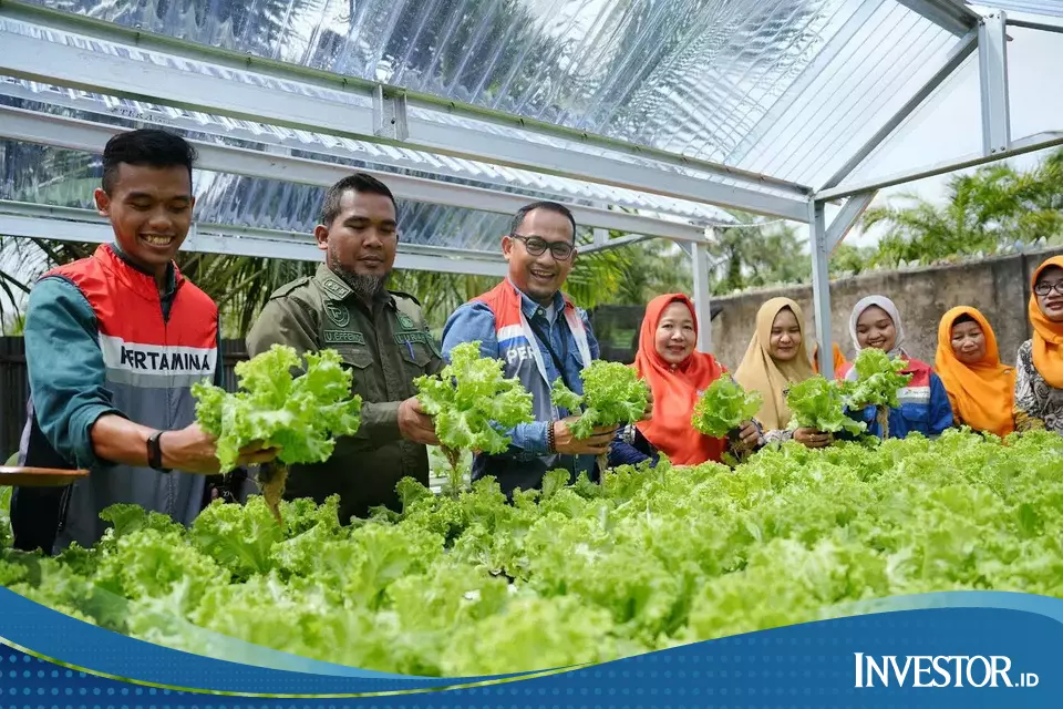 Pertamina Grup Manfaatkan Energi Hijau untuk Komunitas Hidroponik Sehati Kota Dumai