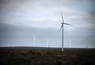 Is Wind Farm Development in Low-Wind Regions a High-Stakes Gamble?