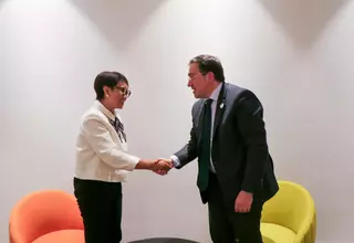 Indonesia Thanks Spain, Ireland, and Norway for Recognizing Palestinian State 