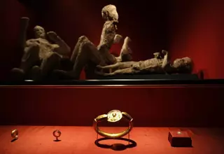 New DNA Evidence Rewrites Long-Told Stories of People in Ancient Pompeii