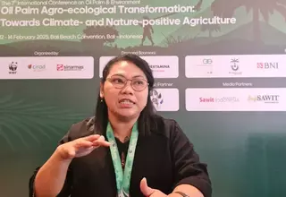 Climate Change Costs Palm Oil Industry Billions in Lost Yields