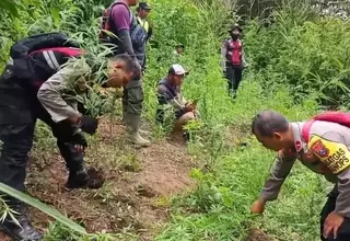 Government Refutes Claims of Marijuana Plantation Cover-Up in East Java National Park