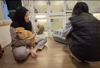 Eid Holiday Rush: Pet Hotels in Indonesia Hit Maximum Capacity