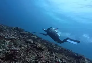 Chinese Tourist’s Final Dive Captured on GoPro Before Fatal Incident