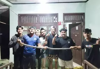 Deadly Cobra Emerges From Ceiling of House in Banten Village, Sparking Panic