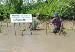 1 Kilometer 1 Mangrove: Chandra Asri Group Strengthens Its Green Commitment through 516 Mangroves Planted after the Jakarta Running Festival 2025