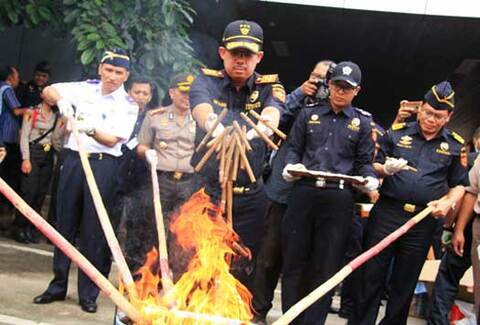 From Skulls to Sex Toys Indonesian Customs Office Confiscates