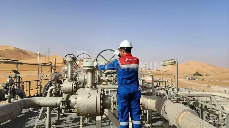 Indonesia Says Domestic Output Can Cushion Oil Price Shock After Israeli Strike on Iran