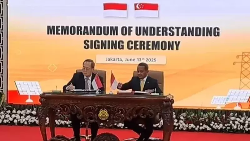 Indonesia to Export Clean Electricity to Singapore Under Landmark Green Energy Deal