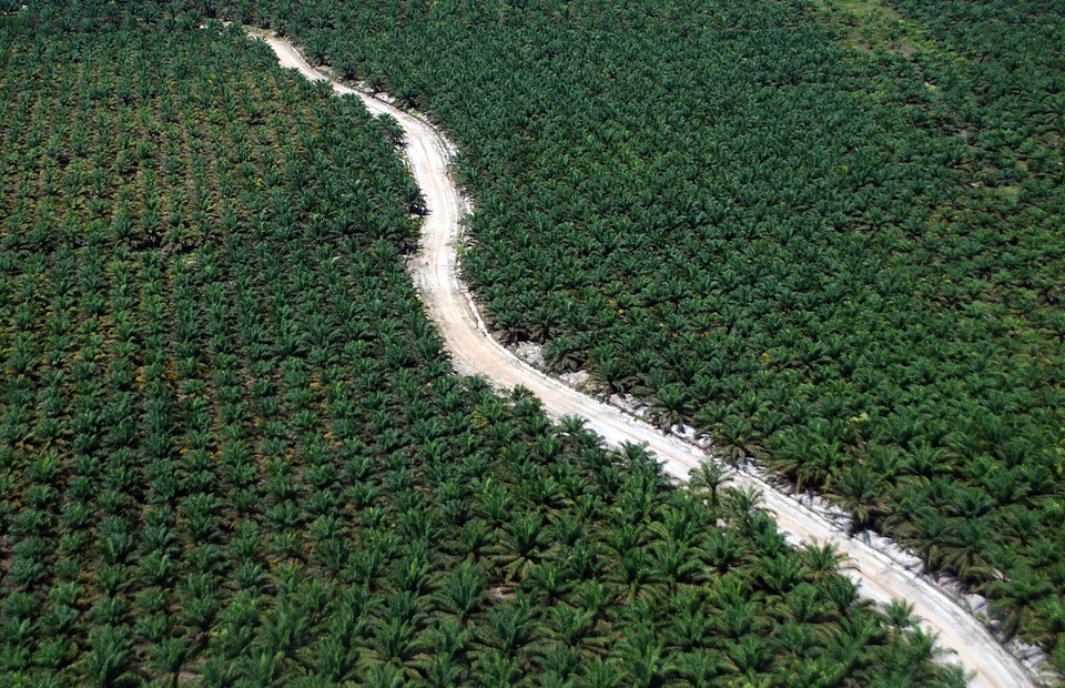 Malaysia and Indonesia plan to raise the prospect of European Union curbs on the imports of palm oil with the World Trade Organization, both countries said in a joint statement on Sunday (17/07). (Antara Photo/Rony Muharrman)