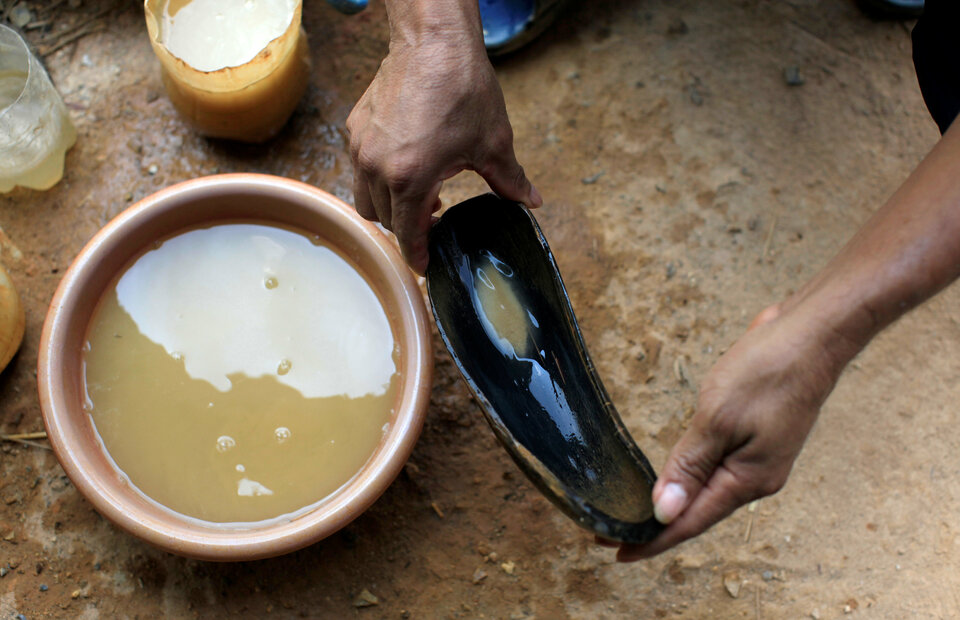 The government will ban the use of mercury in small-scale gold mines by 2018. (Reuters Photo/Jose Cabezas)
