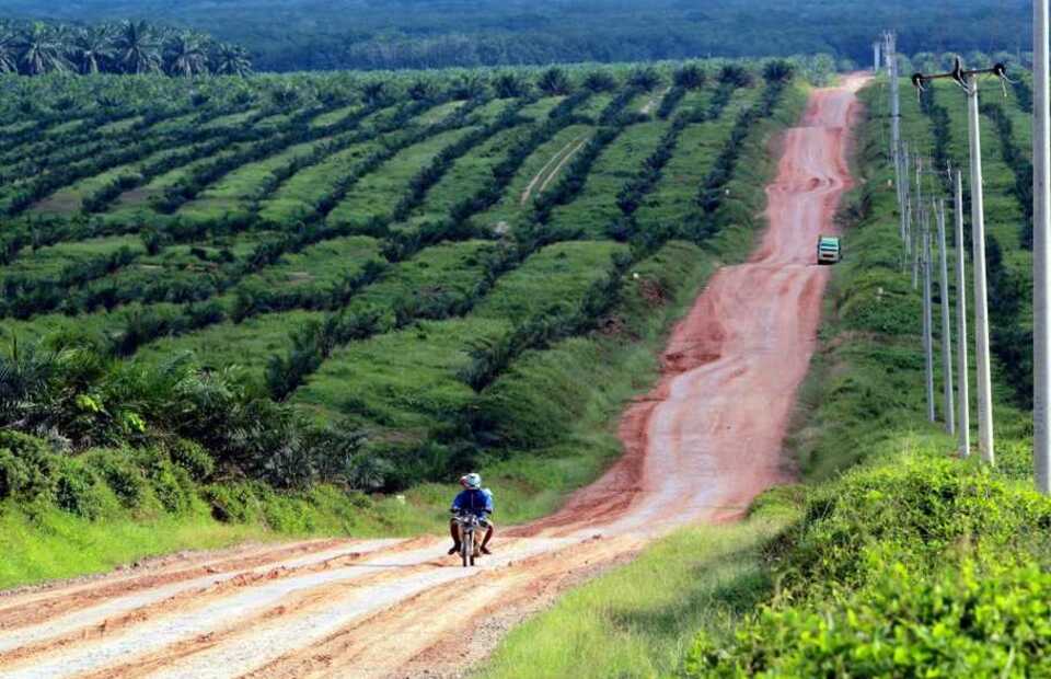 A man rides his motorcycle along a rural pass in the middle of palm oil plantations in Mesuji Raya, South Sumatra. (Antara Photo)