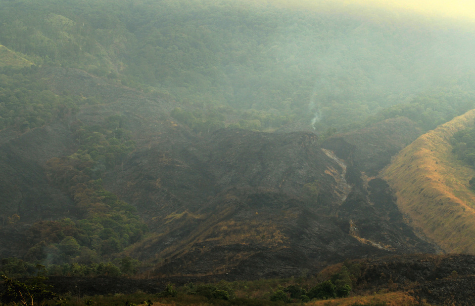 The WEF Summit in Davos comes hot on the heels of devastating natural disasters – from massive bushfires in Australia to floods and landslides in Jakarta – that shifted the spotlight of the world to climate change and how time is running out to reverse its effects. (Antara Photo/Dedhez Anggara)