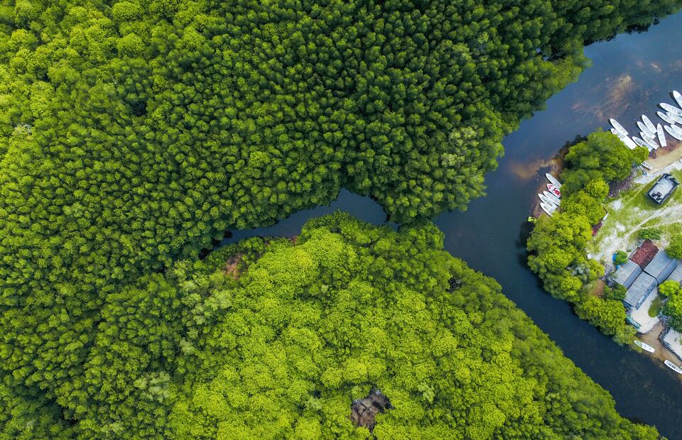 Pulp and paper producer RAPP's forest fire prevention initiative, the Fire Free Village Program, has now entered its fifth year. (Photo by Joel Vodell on Unsplash)