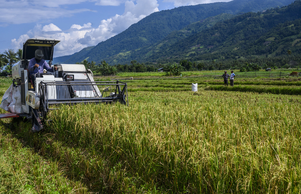 A farm worker pilots a rice harvester machine in Sigi, Central Sulawesi, last month. (Antara Photo/Basri Marzuki)