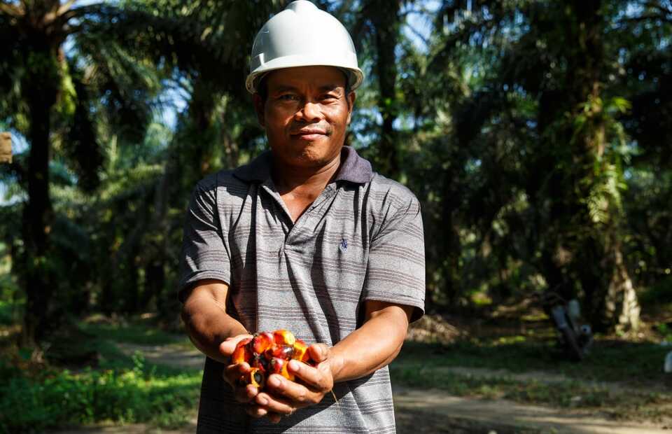 This undated photo shows a farmer who joins the Roundtable on Sustainable Palm Oil (RSPO) holding oil palm fruit from his plantation. (Photo courtesy of RSPO)
