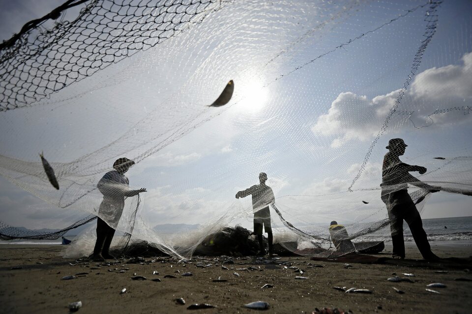 A group of fishermen pull fishing nets to catch the fish in Aceh, Indonesia, on April 7, 2015. (EPA Photo/Hotli Simanjuntak)