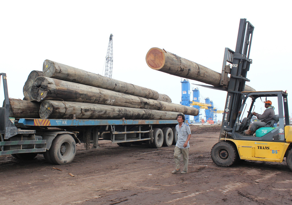 Illegal exports of timber from Cambodia to Vietnam surged in recent months despite an export ban aimed at countering rapid deforestation in one Southeast Asia's poorest countries, an environmentalist group said in a report on Monday (08/05). (Antara Photo/Sahlan Kurniawan)