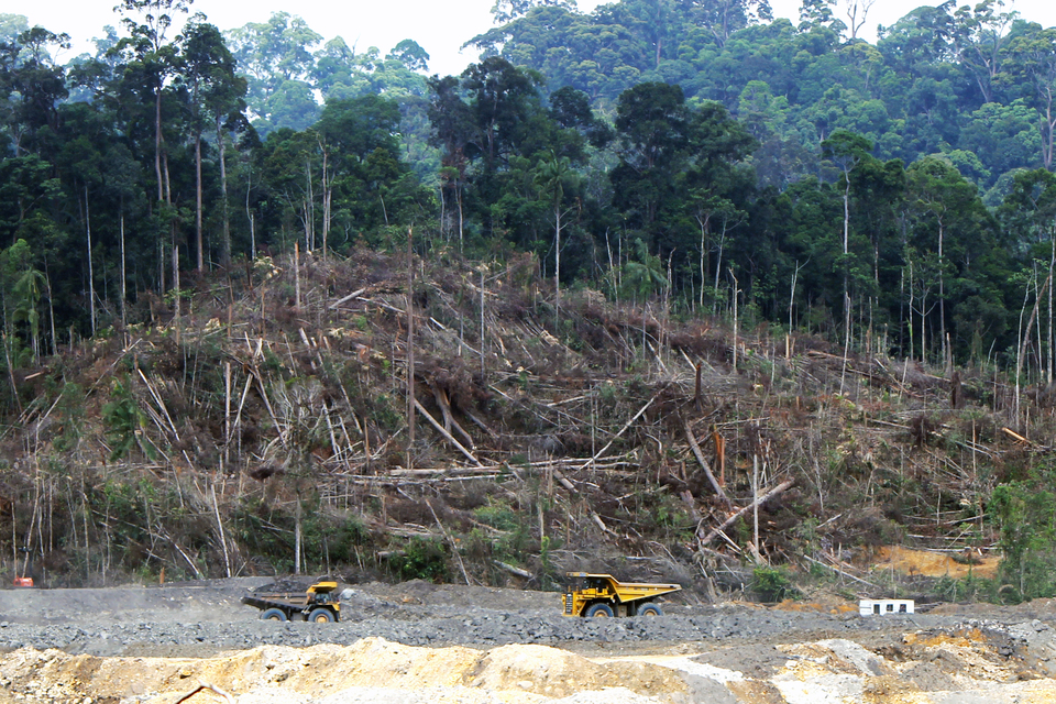 The Mining Advocacy Network (Jatam) is questioning the efficacy of a Rp 80 billion ($6 million) fund managed by the Central Kalimantan provincial government for the rehabilitation of defunct mining sites. This follows after the number of people who have gone missing at abandoned mines in the province in the past four years rose to 24 over the weekend. (Photo courtesy of Andrew Taylor/World Development Movement)