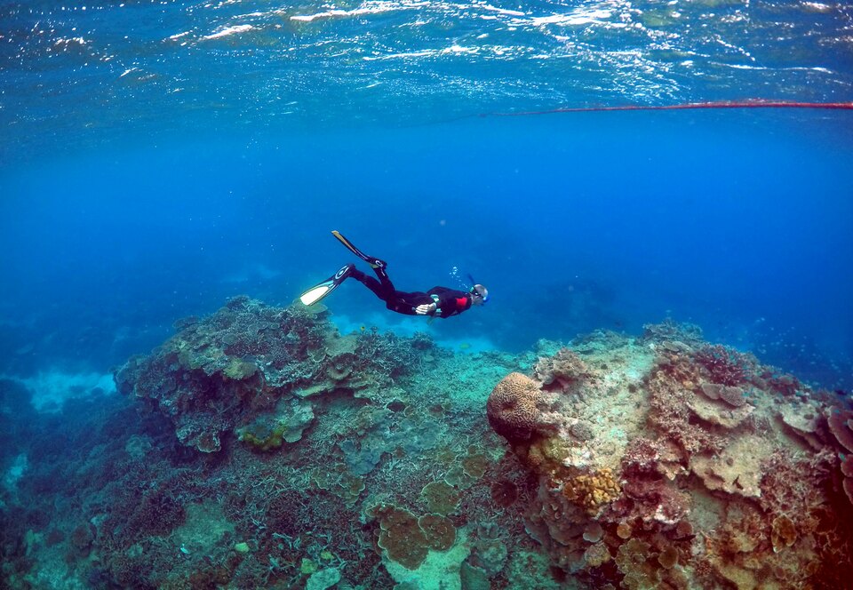 Warm seas around Australia's Great Barrier Reef have killed two-thirds of a 700-km (435 miles) stretch of coral in the past nine months, the worst die-off ever recorded on the World Heritage site, scientists who surveyed the reef said on Tuesday (29/11). (Reuters Photo/David Gray)