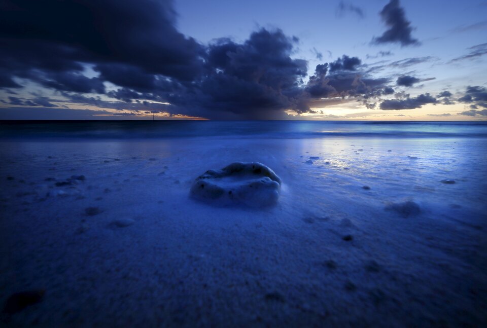 A reef shell lies on a beach as the sun sets on Lady Elliot Island located north-east of the town of Bundaberg in Queensland, Australia, June 10, 2015. (Reuters Photo/David Gray)