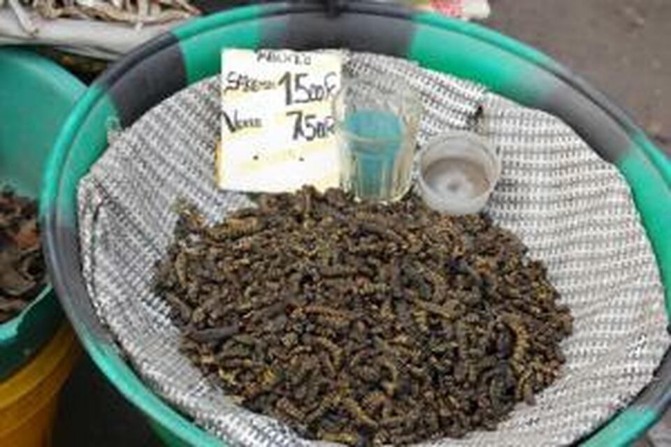 Mealworms are seen for sale at Gambela Market in Kinshasa, Democratic Republic of Congo, July 14, 2015. Experts hope that the love of edible insects in Democratic Republic of Congo may hold the key to tackling widespread hunger among its roughly 65 million people by scaling up a millennia-old consumption habit. Picture taken July 14, 2015. (Reuters Photo/Aaron Ross)