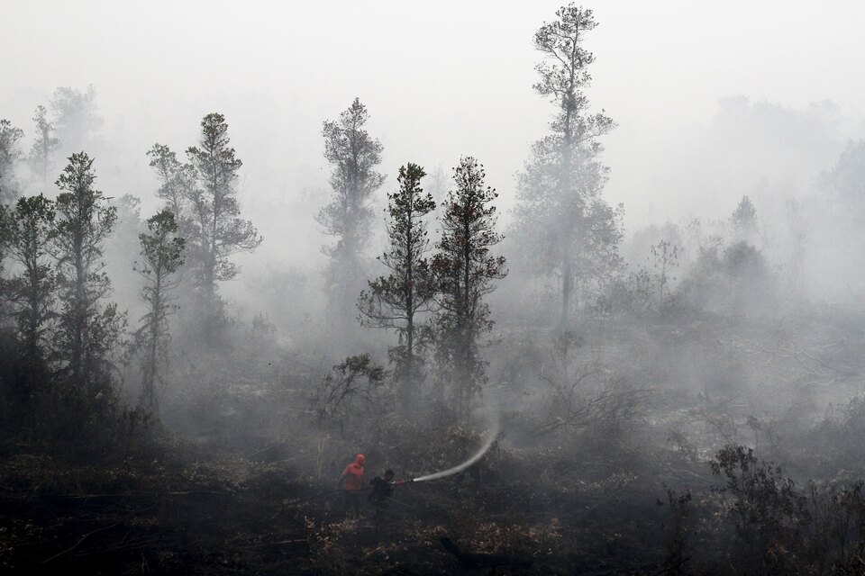 The ministry in October issued a reprimand letter that invalidated RAPP's current 10-year plan due to the company's unwillingness to comply with new government regulations on peatland protection.(Reuters Photo/Y.T. Haryono)