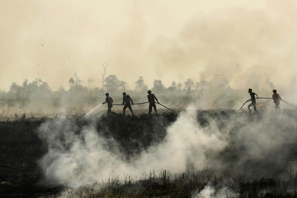 Haze across much of Southeast Asia mostly comes from forest fires on Sumatra, many of which are deliberately lit to clear land for plantations. (AFP Photo/Abdul Qodir) 