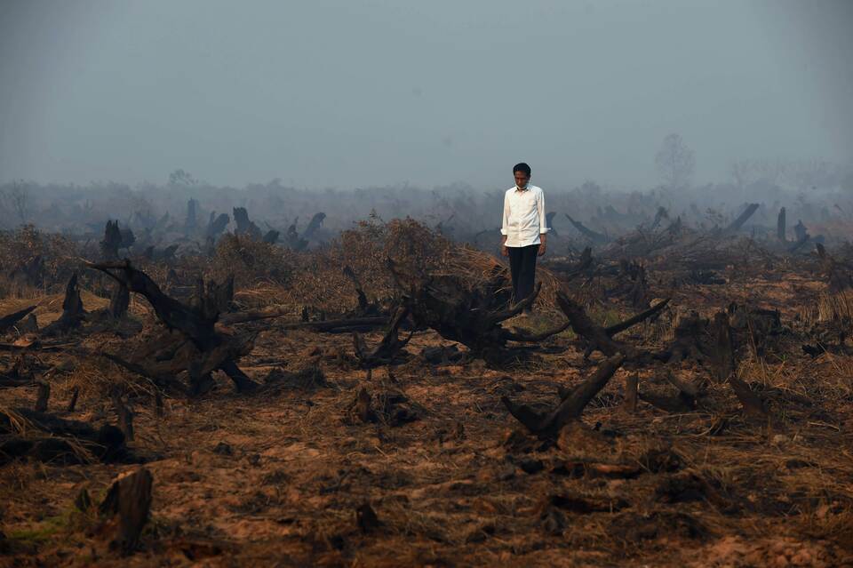 President Joko Widodo inspects a peatland clearing that was engulfed by fire in Kalimantan during September. (AFP Photo/Romeo Gacad)