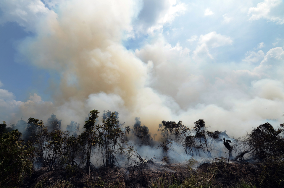 Research has found that small- and medium-scale land concessions are mainly to blame for the fires causing the haze problems. (Antara Photo/Wahdi Septiawan)
