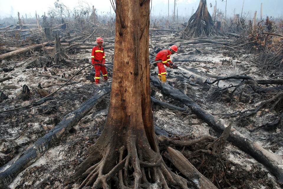 Indonesian fire fighters work to put out a fire in Giam Siak Kecil biosphere reserve, home for rare, endangered and endemic species, in Riau province. (AFP Photo/Alfachrozie)