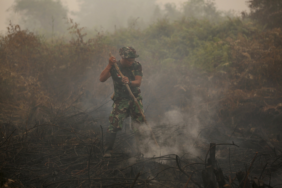 In 2015, forest and and peat fires across Indonesia caused 100,000 premature deaths and cost the country's economy $16 billion. (Reuters Photo/Darren Whiteside)